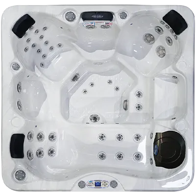 Avalon EC-849L hot tubs for sale in Naples