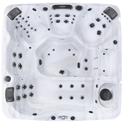 Avalon EC-867L hot tubs for sale in Naples